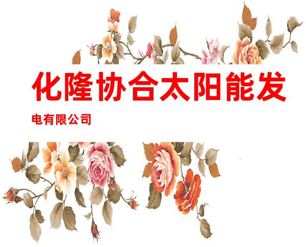 化隆协合太阳能发电有限公司