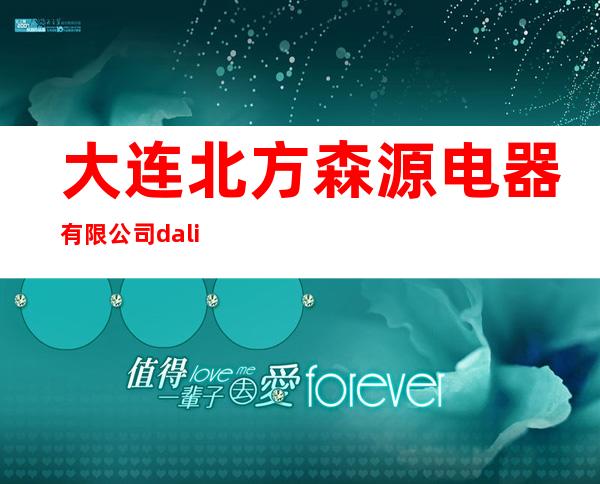 大连北方森源电器有限公司dalian northern senyuan electric co.ltd.